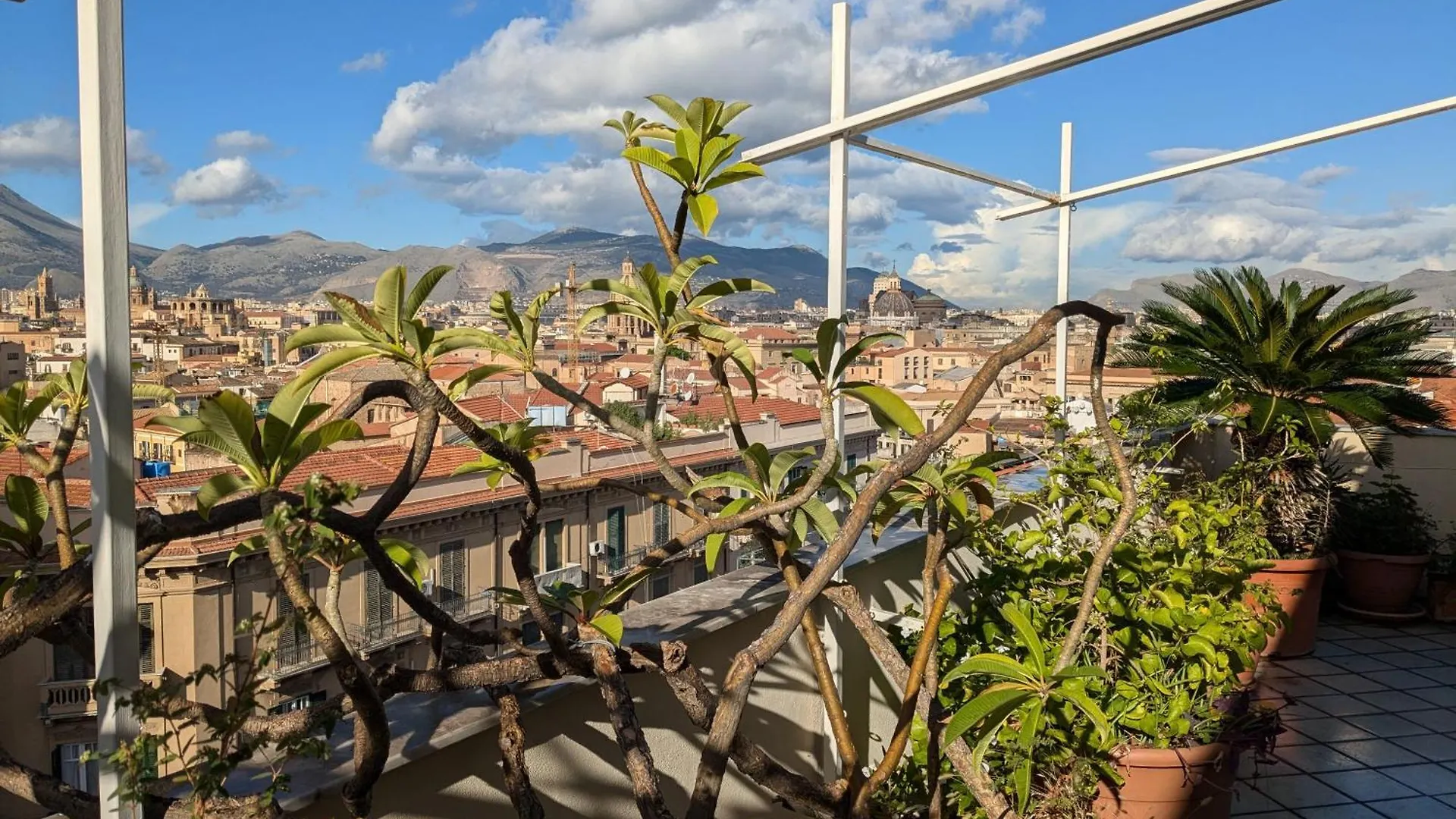 Montesanto Appartement Palermo Accommodatie bij particulieren
