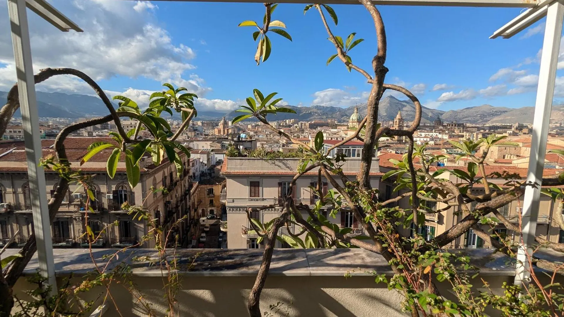 Apartmán Montesanto Palermo Itálie